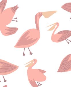 Blush Pelican