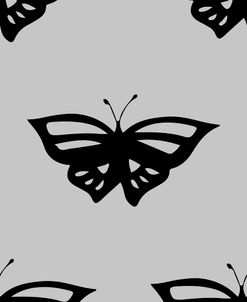 015 Contrast Butterfly