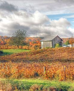 Autumn Countryside