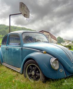 Blue Bug