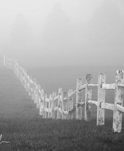 Fence In The Fog