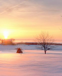 Sparkle Of The Morning Snow