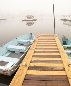 Under The Morning Fog