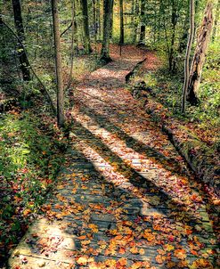 Walking The Path