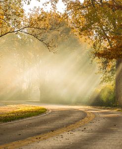 Autumn Drive