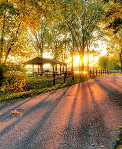 Autumn Sunrays