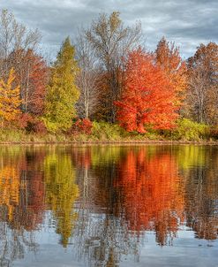 Colors On The Lake