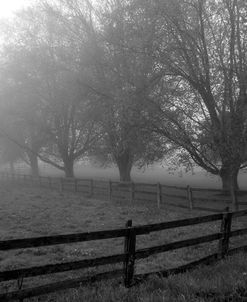 A Pennsylvania Morning