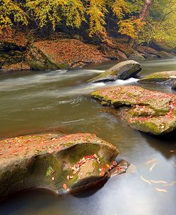 Autumn Creek