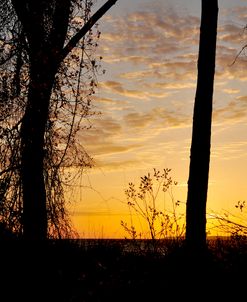 Summer Sundown