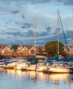 Morning At The Marina