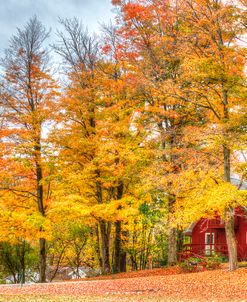 Autumn Cottage