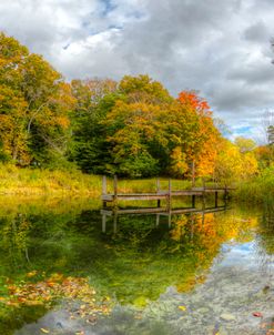 Autumn Pond