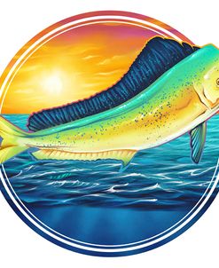 Dolphin Fish Illustration