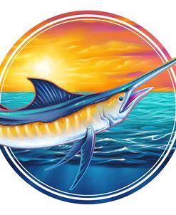 Marlin Illustration