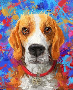 American Fox Hound