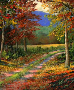 Forest Road