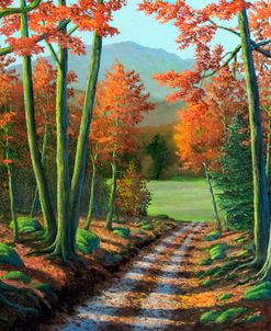 Maple Forest Road