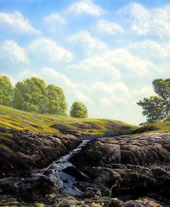 Flowering Meadow