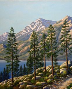 Mountain Trail