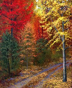 October Road