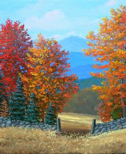 Pasture Gate In Autumn