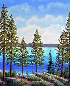 Pine Woods Lake Tahoe