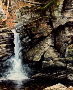 Woodland Falls