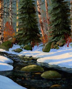 Winter Brook