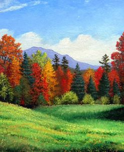 Forest Edge
