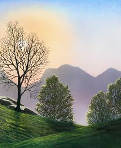Misty Spring Meadow Panorama