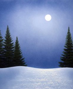 White Spruces In Moonlight