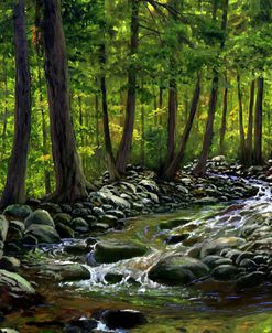 Vermont Stream