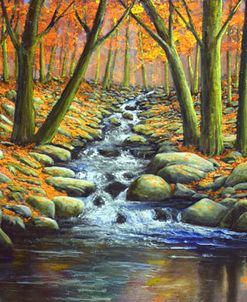 Deep Woods Brook