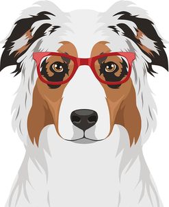 Australian Shepherd Wearing Hipster Glasses