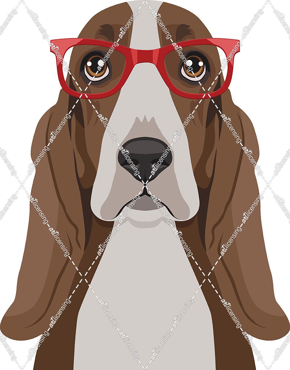 Basset Hound Wearing Hipster Glasses