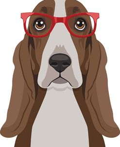 Basset Hound Wearing Hipster Glasses