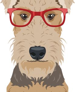 Airedale Terrier Wearing Hipster Glasses