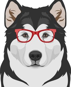 Alaskan Malamute Wearing Hipster Glasses