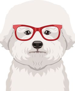 Bichon Wearing Hipster Glasses