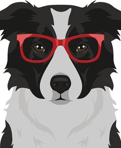 Border Collie Wearing Hipster Glasses