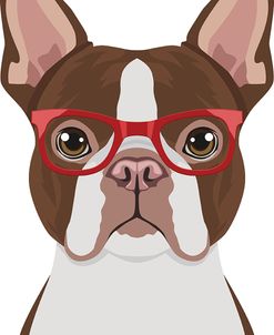 Boston Terrier Wearing Hipster Glasses 2