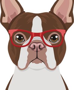 Boston Terrier Wearing Hipster Glasses 2