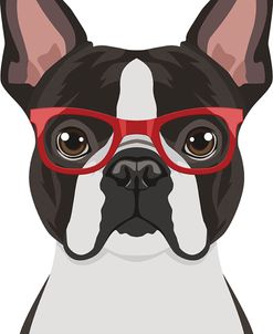 Boston Terrier Wearing Hipster Glasses