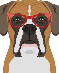 Boxer Wearing Hipster Glasses