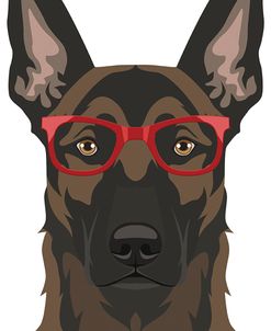 Belgian Malinois Wearing Hipster Glasses