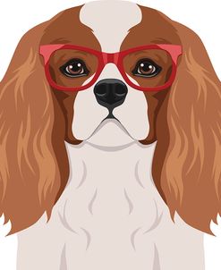 Cavalier King Charles Spaniel Wearing Hipster Glasses