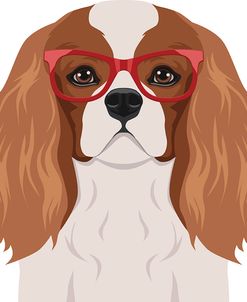 Cavalier King Charles Spaniel Wearing Hipster Glasses