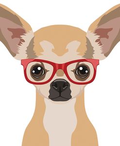 Chihuahua Wearing Hipster Glasses