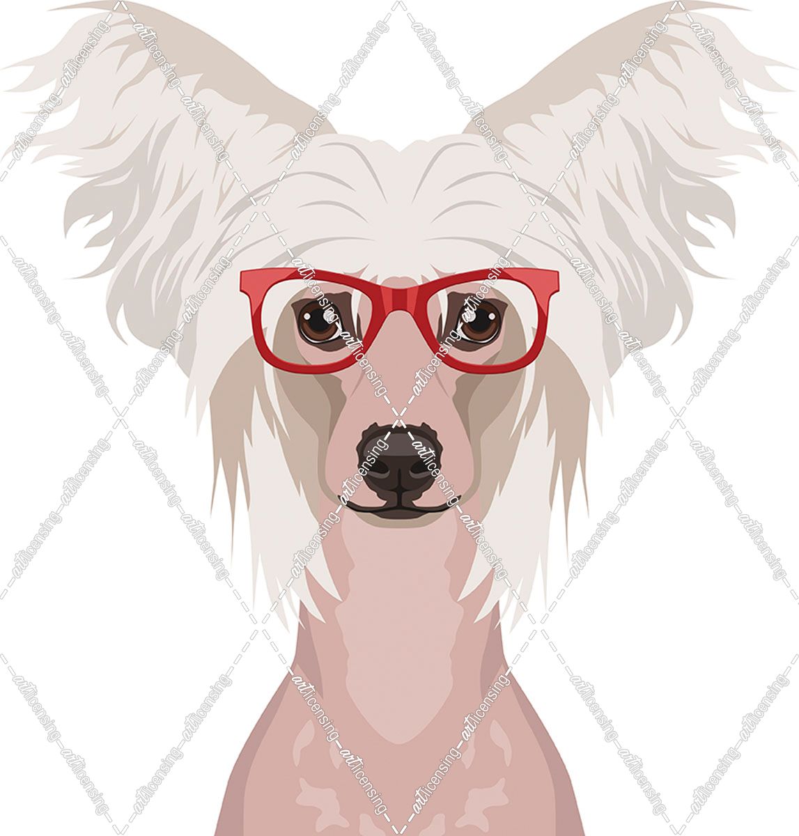 Chinese Crested Wearing Hipster Glasses
